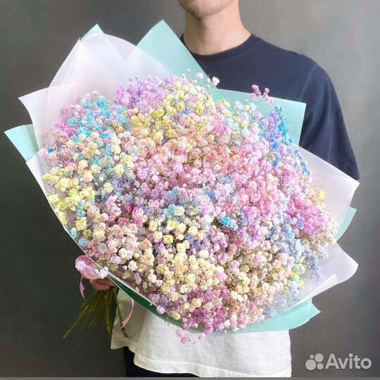 Гипсофила цветная, однотонная. Доставка бесплатно