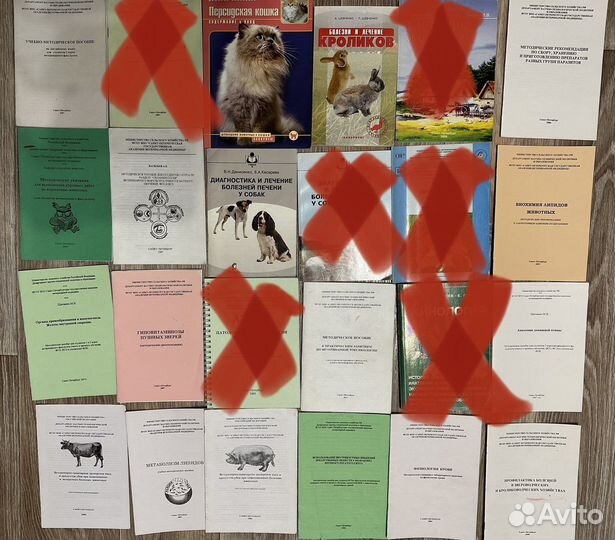 Ветеринарная медицина