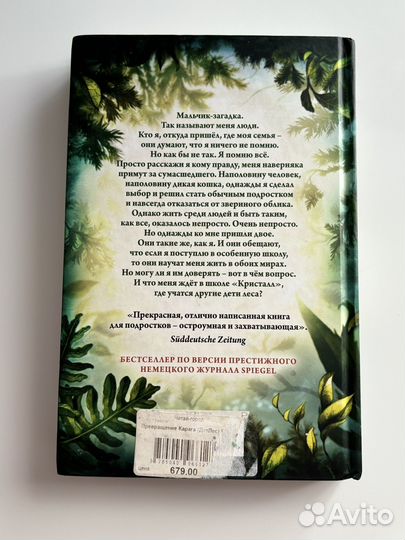 Дети леса катя брандис