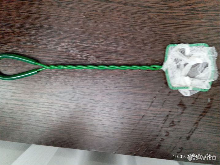 Аквариумные рыбки