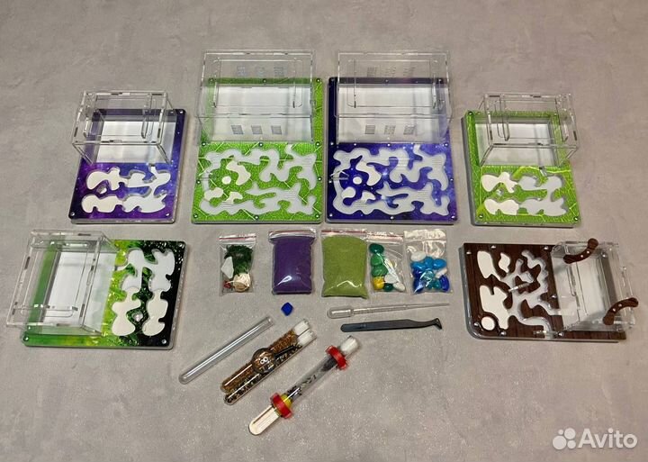 Муравьиная ферма новая с муравьями в комплекте