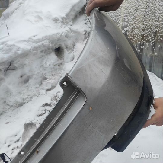 Бампер. Либерти, Виноград