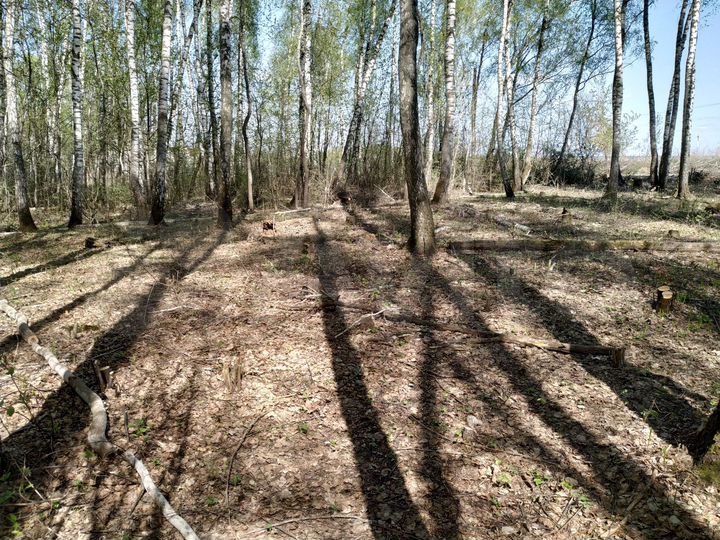 Участок 8 сот. (СНТ, ДНП)