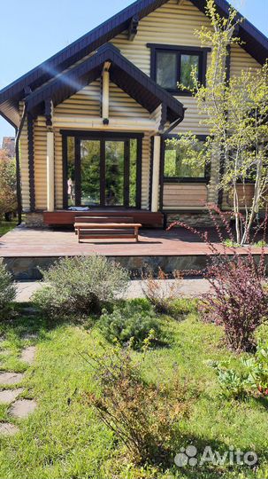 Передержка собак и кошек