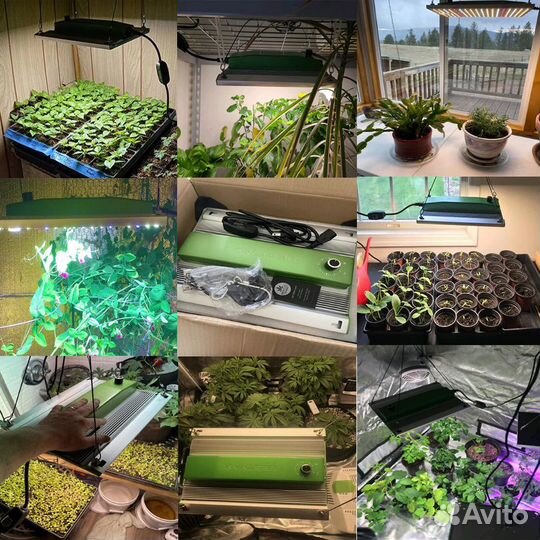 Фитолампа Quantum board Bestva Pro 1000W