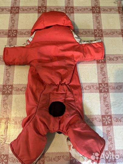 Комбинезон для маленькой собаки