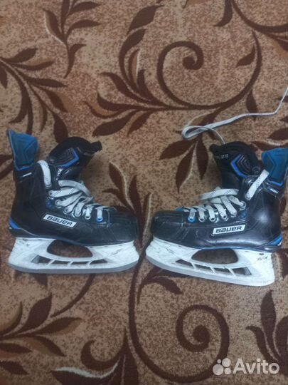 Хоккейные коньки bauer nexus