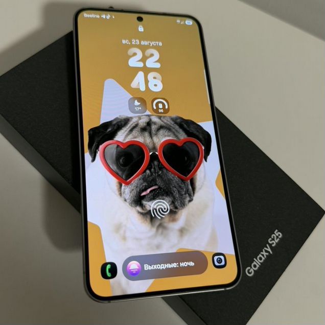 Samsung Galaxy S25, 12/256 ГБ, 2 SIM