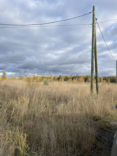 Участок 20 сот. (СНТ, ДНП)