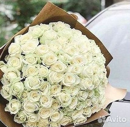 Розы Букеты Цветы Розы 31 101 151 201 Доставка