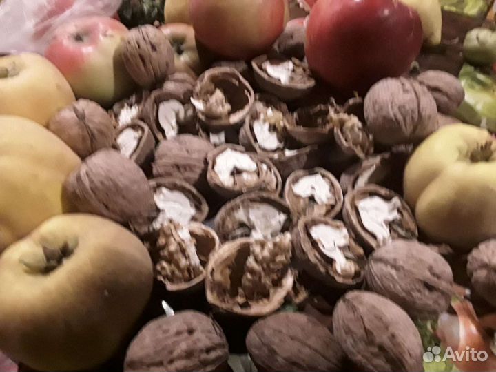 Орех грецкий