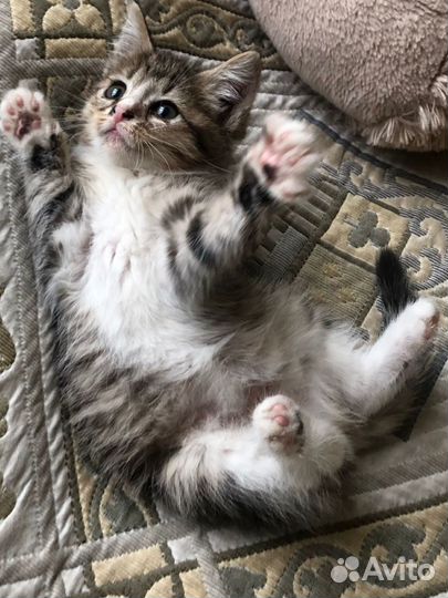 Ласковая нежная малышка очень ждет семью