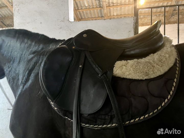 Седло конкурное prestige