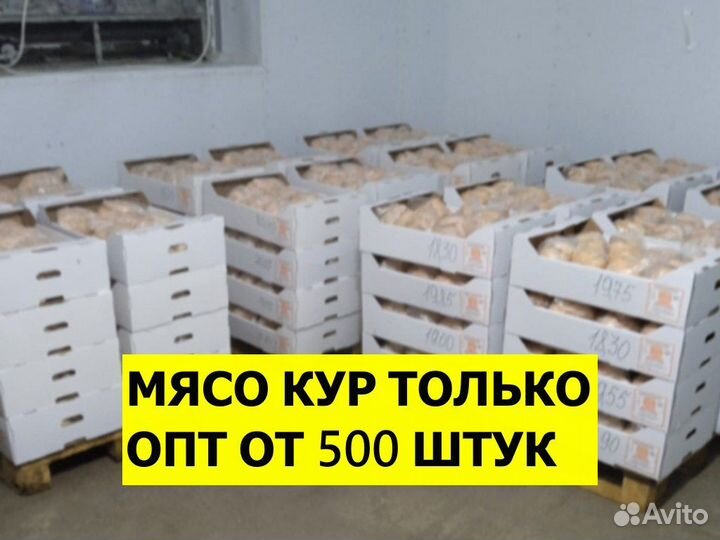Мясо бройлеров тушки оптом