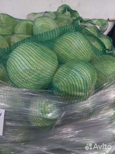 Капуста крупный