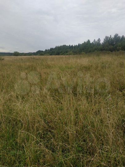 Участок 30 сот. (ИЖС)