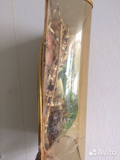 Раки декораивные изделие