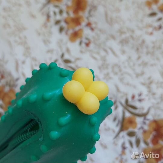 Пенал кактус