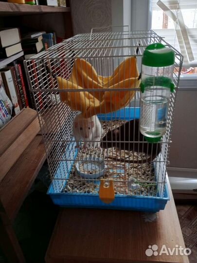 Клетка для крыс