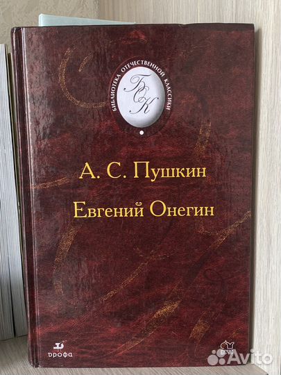 Пушкин евгений онегин