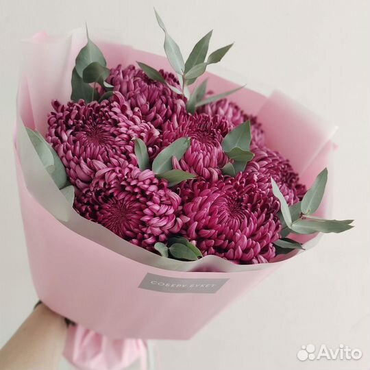 Хризантема одноголовая