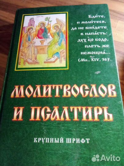 Псалтырь. Библия Книга о прозрение истины