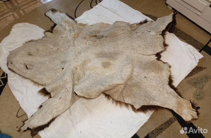 Настенный или напольный ковер