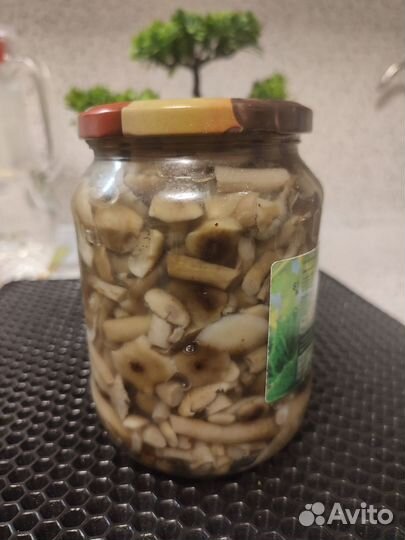 Грибы опята маринованные