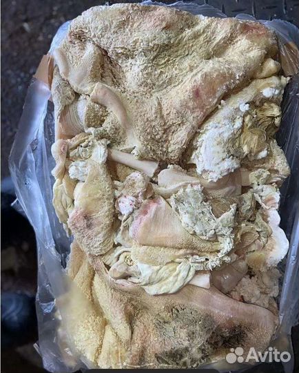 Мясо говядина и субпродукты для собак