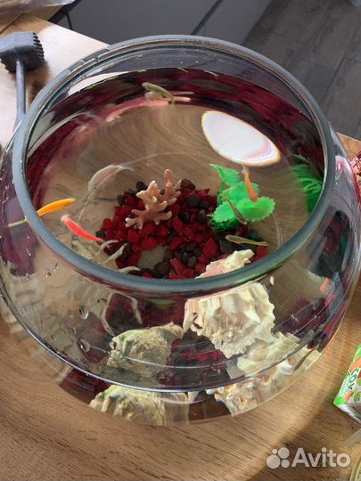 Аквариум с рыбками