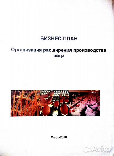 Бизнес-план