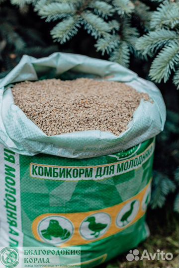 Комбикорм пк5 рост для бройлеров