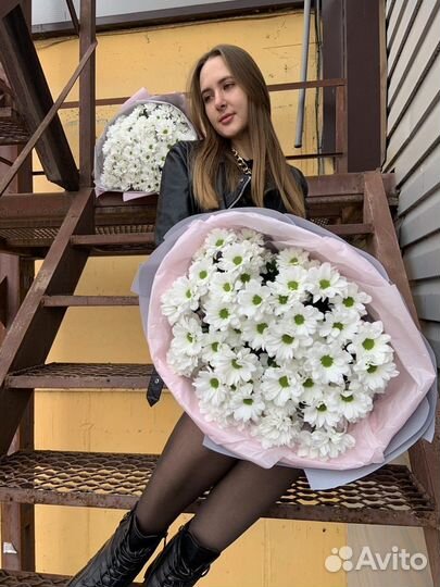 Хризантемы свежие