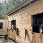 Денник для лошадей на заказ