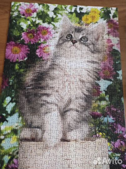 Пазлы разные