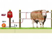 Как сделать электрический забор от лис