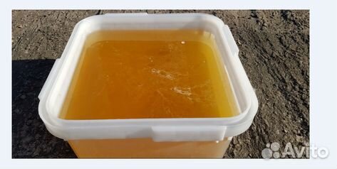 Мед оптом. Мед разнотравье