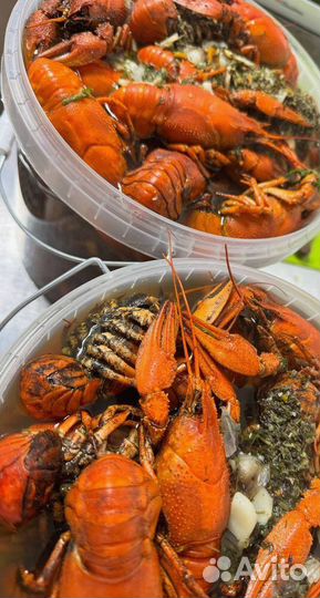 Весенние раки к празднику