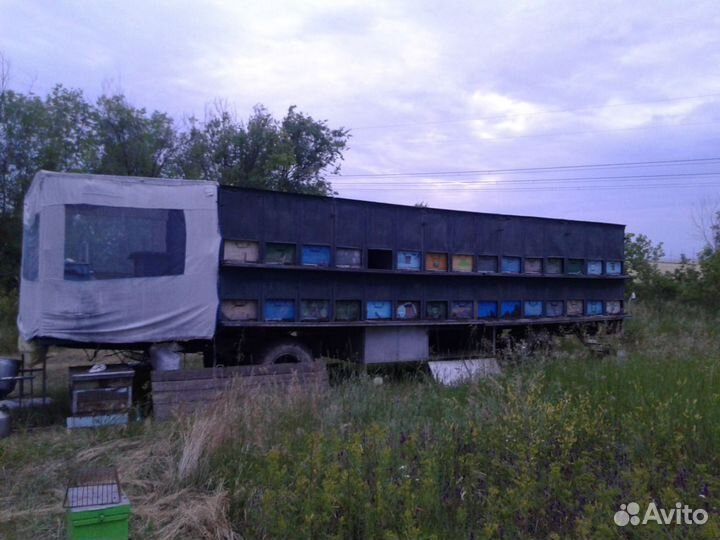 Пчелопавильон с ульями и пчелами