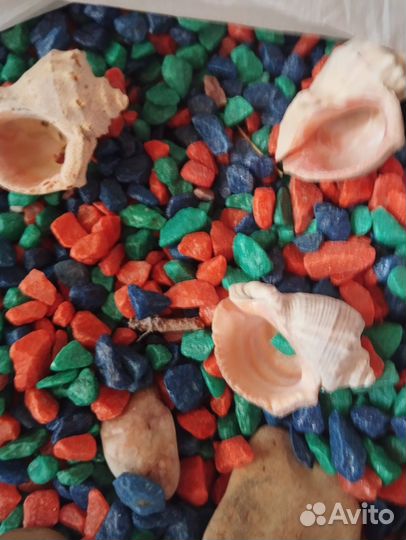 Грунт в аквариум