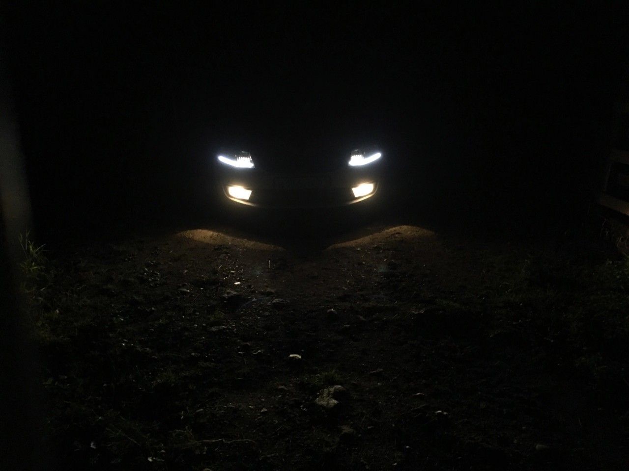 Skoda Octavia: фото владельца