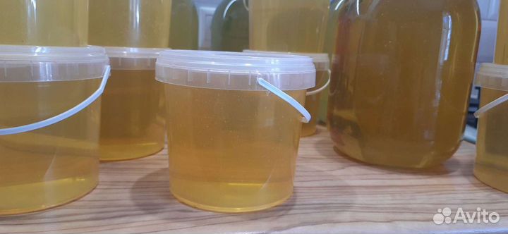 Мёд, качали июне 2023 г