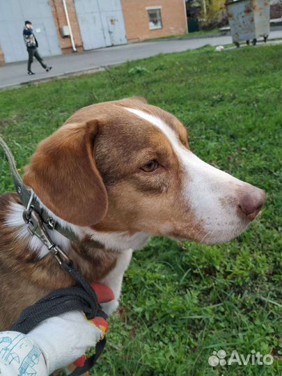 Мальчик из приюта