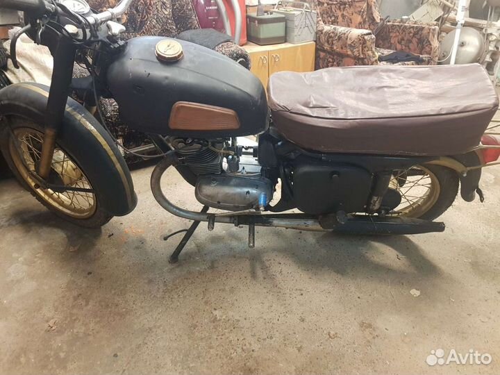 Восход кавровец