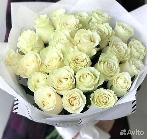 101 Роза Цветы Букеты 51 25 Роз Доставка