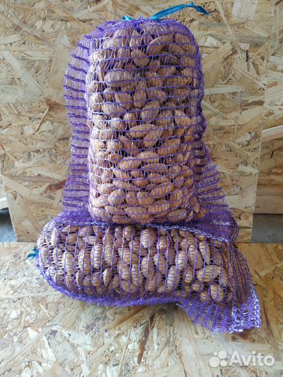 Орех миндаль 2024