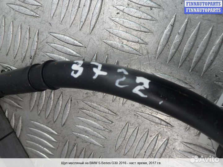 Щуп BMW 5 (G30), 2017 2.0 Дизель