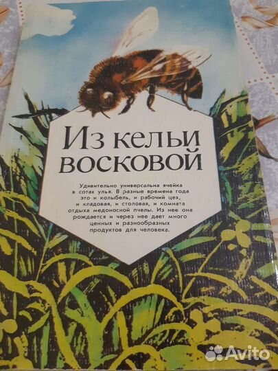 Книга для пчеловодов.комнатные цветы
