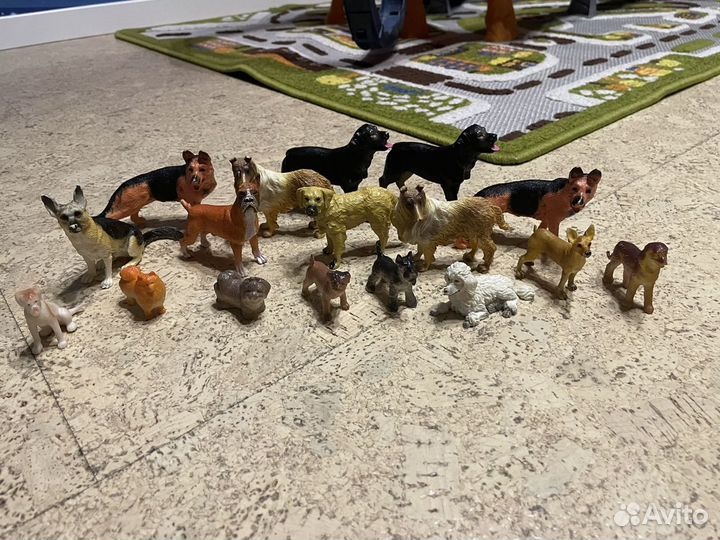 Животные и собаки