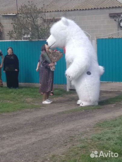 Белый мишка аниматоры